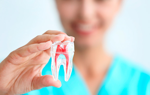 endodontia endodontia